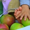 Organic Farming vs Conventional Farming Methods, By Andrew Campbell MD apples_children_XSmall
