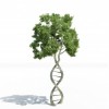 Free Detox Summit for Practitioners DMA Tree Greem shutterstock_132712040