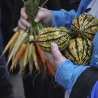 As seen in WSJ: Nutrigenomics, next new field of medicine carrots_squash