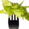 Retrain the Brain for Healthier Eating Lettuce_fork_Small copy