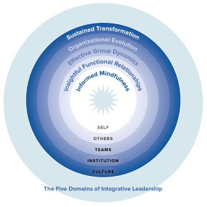 Five Domains of Integrative Leadership