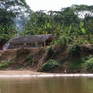 Heart Health in the Amazon 