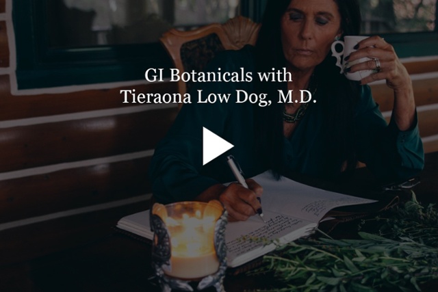Dr Low Dog GI Botanicals 