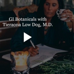 GI Botanicals Dr. Low Dog
