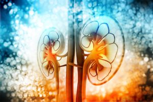 kidney disease