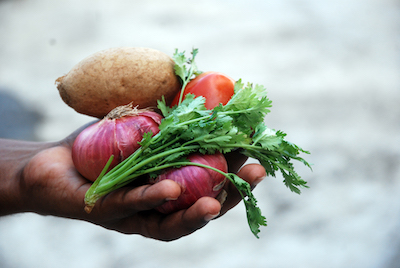 Does Eating Organic Food Reduce Cancer Risk?