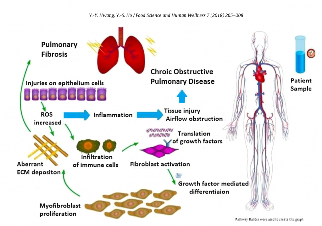 respiratory health 