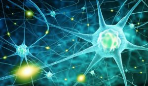 Neurotransmitters and neurochemicals