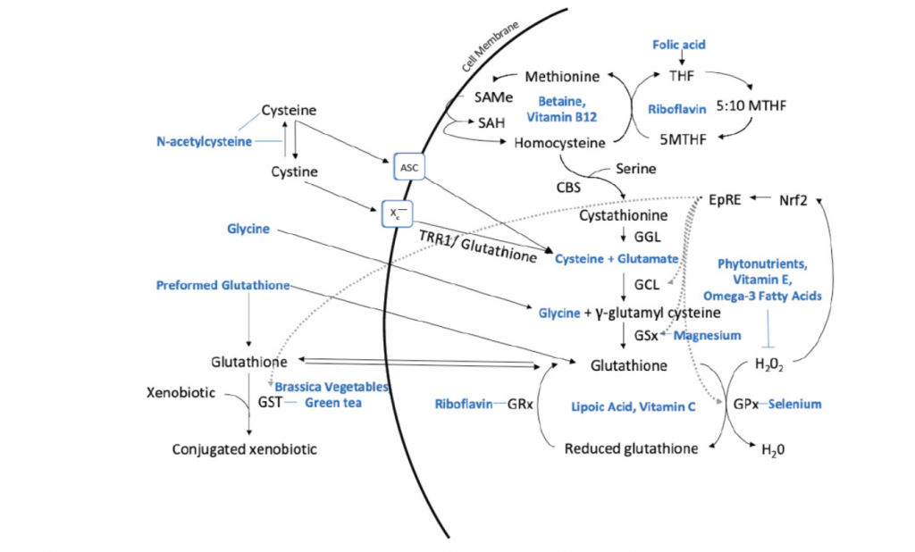 glutathione