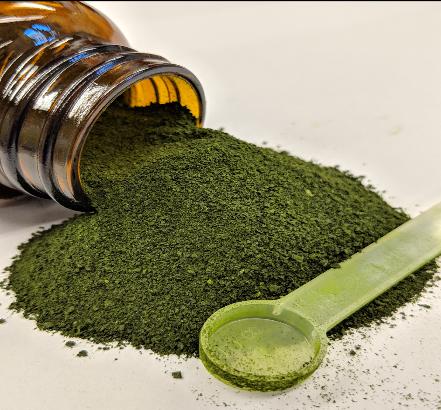 algae for gastrointestinal health