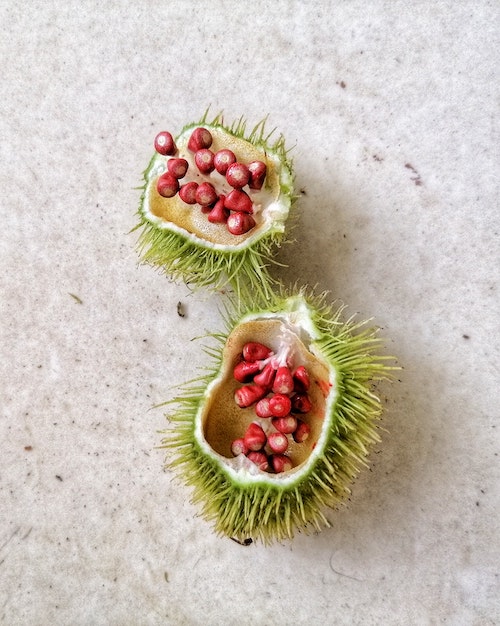 alpha-tocopherol and annatto seeds
