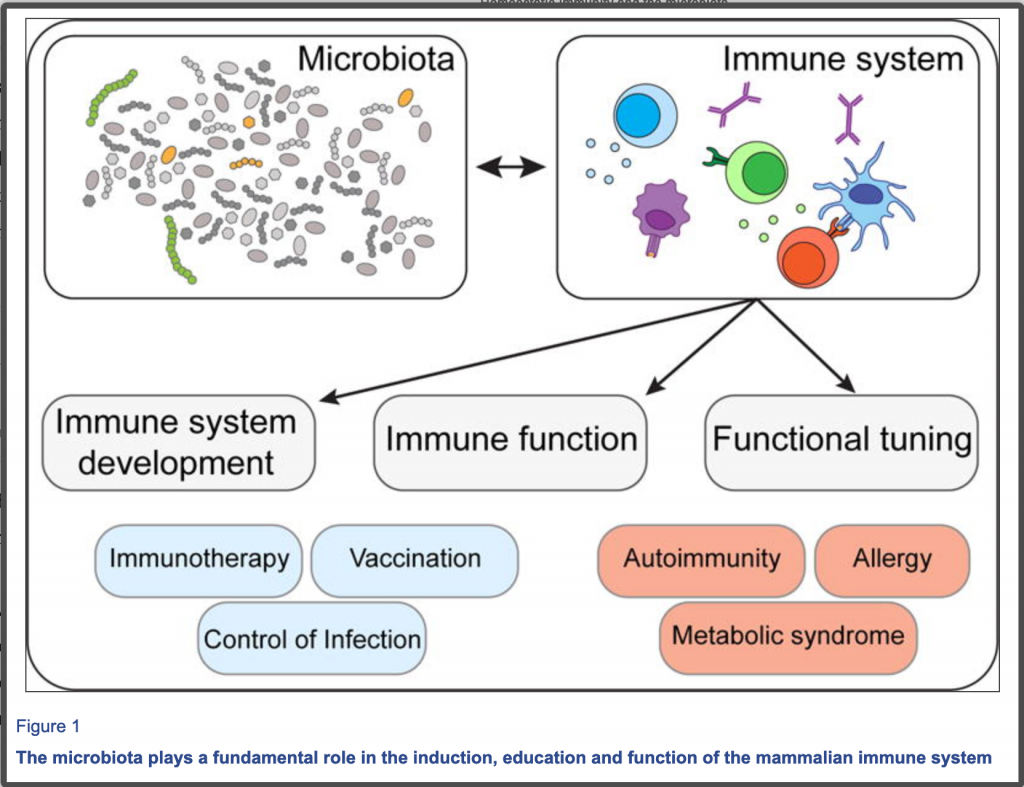 Immunity and the Microbiome