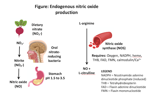 Erectile Dysfunction and The Role of Nitric Oxide