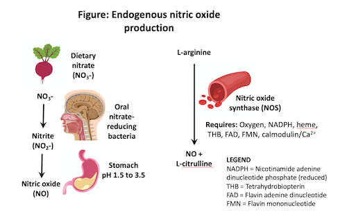 Nitric oxide and erectile dysfunction