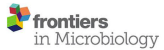 Frontiers in Microbiology