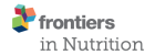 Frontiers in Nutrition journal logo